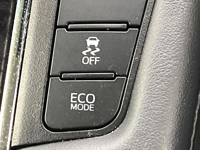 アルファード（新潟県新潟市東区）