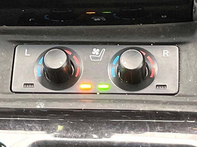 アルファード（新潟県新潟市東区）