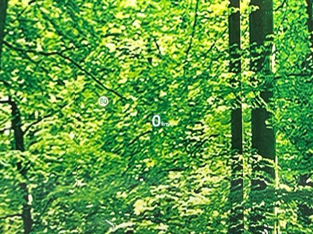 CX-5（新潟県長岡市）画像31