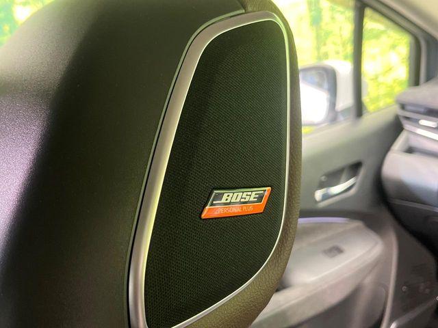 オーラ（新潟県新潟市南区）