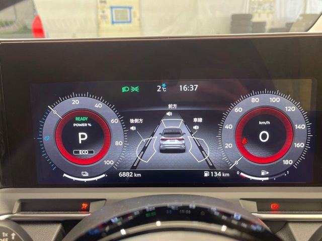 オーラ（新潟県新潟市南区）