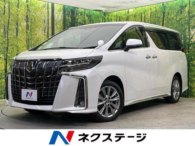 アルファード（新潟県新潟市南区）