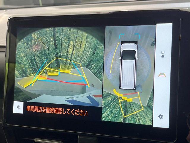 ヴォクシー（新潟県新潟市南区）