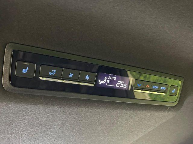 ヴォクシー（新潟県新潟市南区）