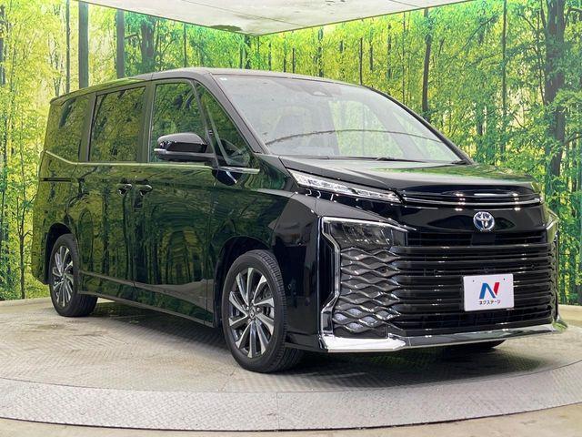 ヴォクシー（新潟県新潟市南区）