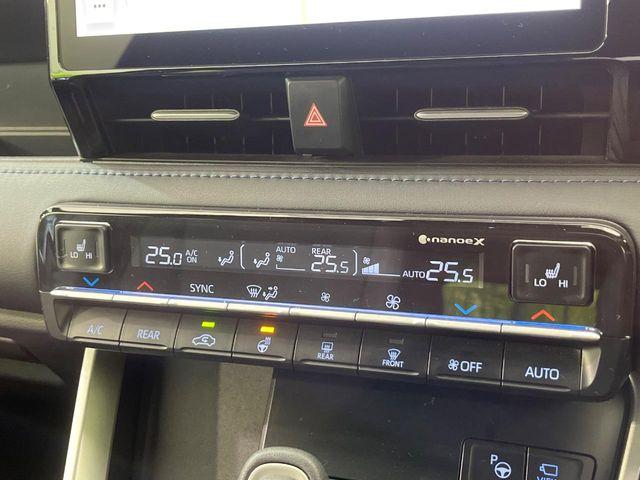 ヴォクシー（新潟県新潟市南区）