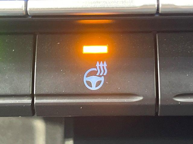 ヴォクシー（新潟県新潟市南区）