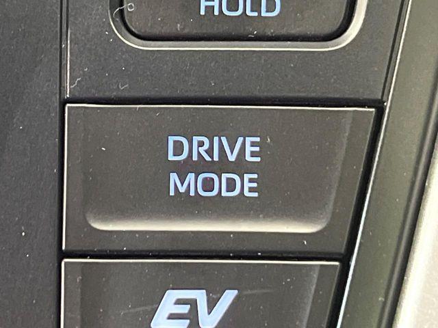 ヴォクシー（新潟県新潟市南区）