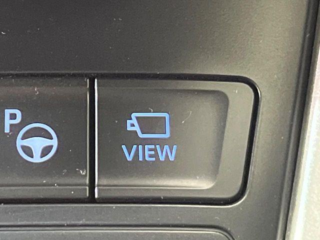 ヴォクシー（新潟県新潟市南区）