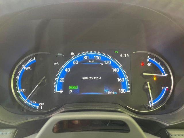 ヴォクシー（新潟県新潟市南区）