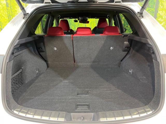 レクサスＮＸ（新潟県新潟市南区）画像31