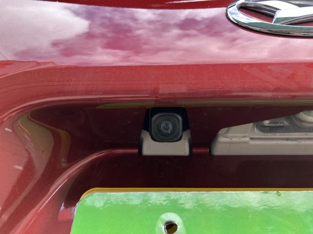 タント（新潟県新潟市西蒲区）