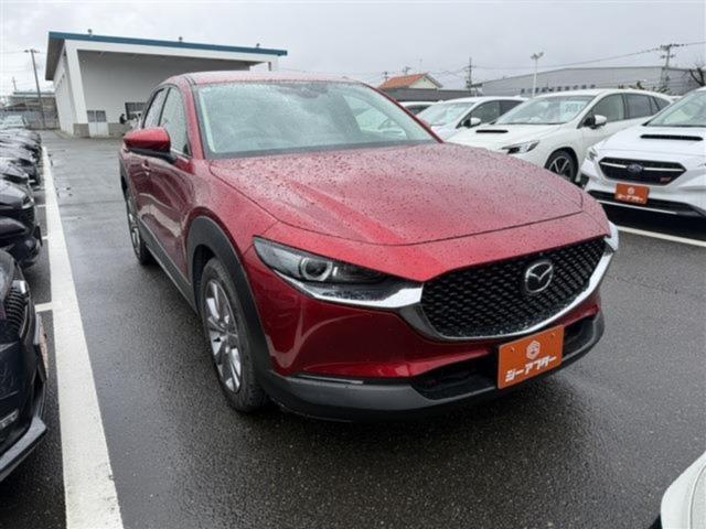 ＣＸ－３０（新潟県新潟市東区）