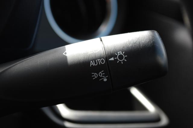 アルト（新潟県上越市）画像20