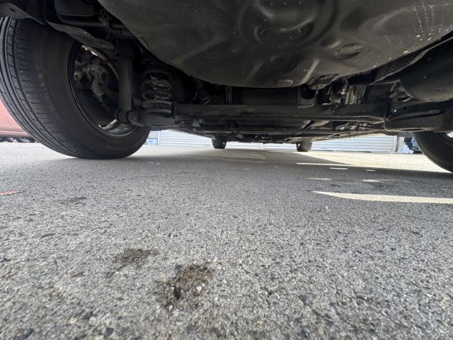 プリウス（新潟県新潟市西区）