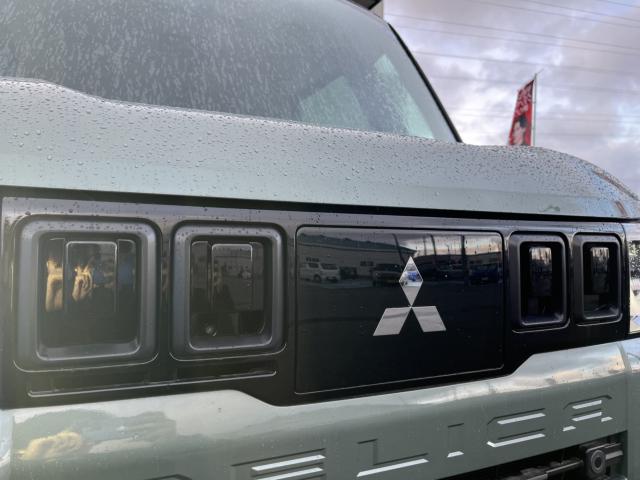 デリカミニ（新潟県新潟市西蒲区）画像17