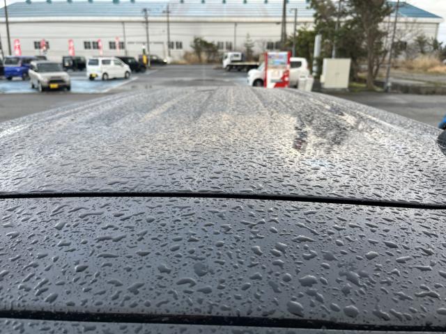 デリカミニ（新潟県新潟市西蒲区）画像20