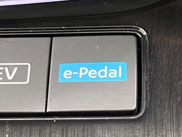 エクストレイル(新潟県長岡市)