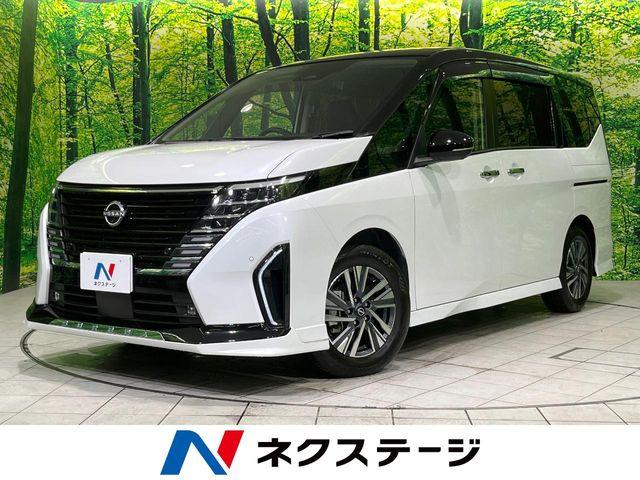 セレナ（新潟県長岡市）