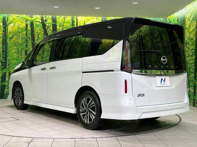 セレナ(新潟県長岡市)