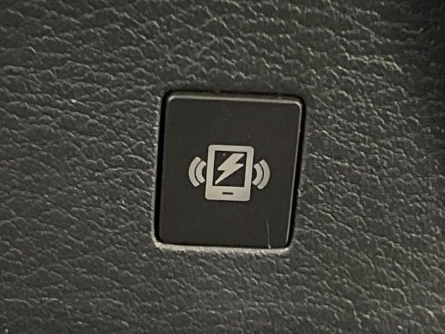 セレナ(新潟県長岡市)