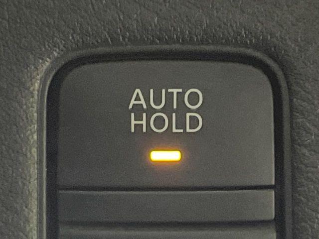 セレナ(新潟県長岡市)