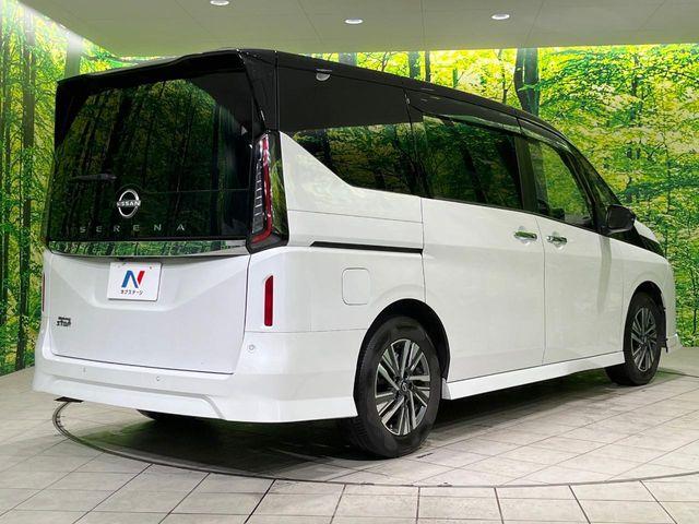 セレナ(新潟県長岡市)