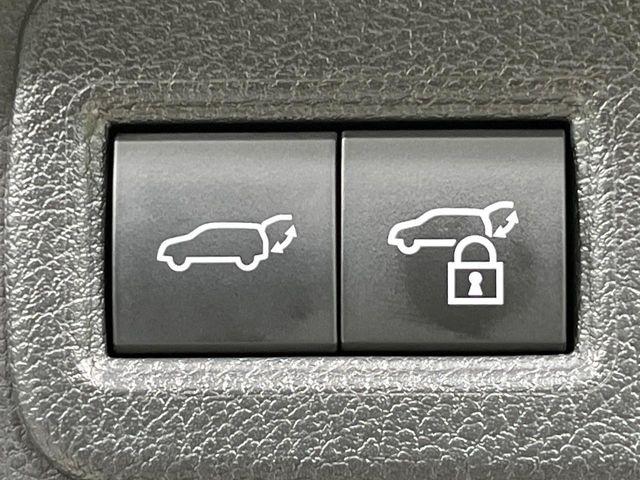 ハリアー（新潟県長岡市）画像33