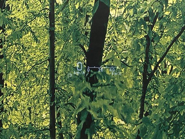 スペーシア（新潟県新潟市南区）