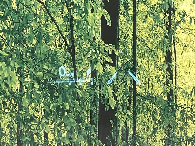 カムリ（新潟県新潟市南区）画像6