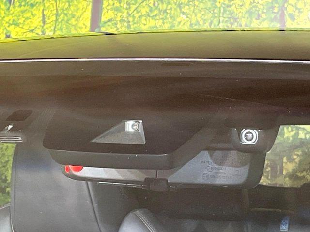 ハリアー(新潟県新潟市東区)