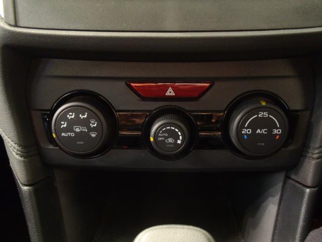 スバルXV（新潟県新発田市）画像13