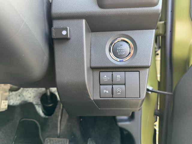 タフト（新潟県新潟市西区）