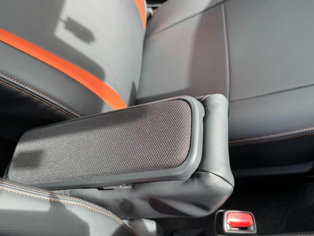 タフト（新潟県新潟市西区）