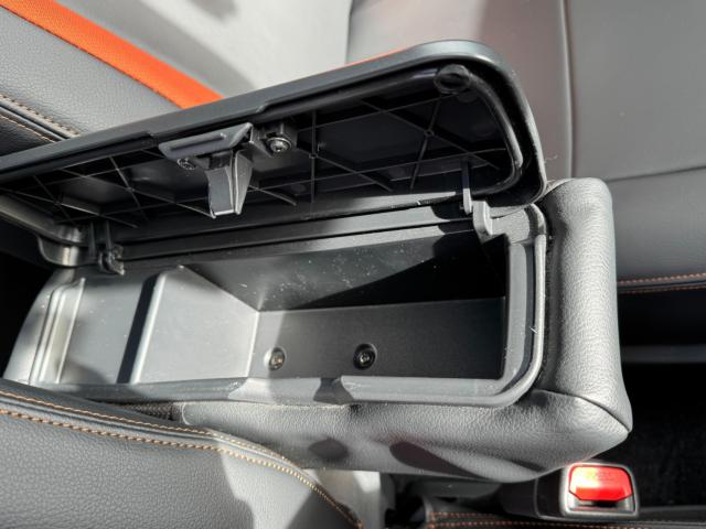 タフト（新潟県新潟市西区）