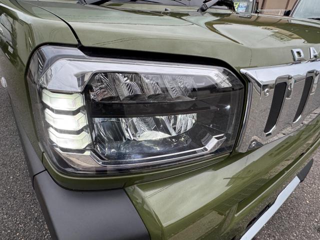 タフト（新潟県新潟市西区）