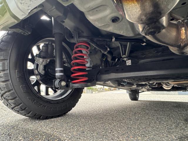 タフト（新潟県新潟市西区）