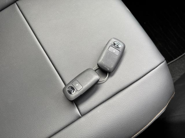 タフト（新潟県新潟市西区）