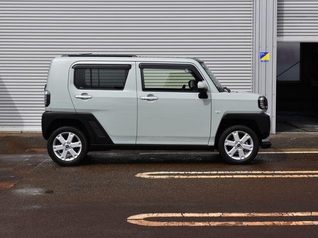 タフト（新潟県上越市）画像3