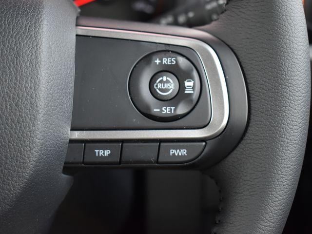 タフト（新潟県上越市）画像16