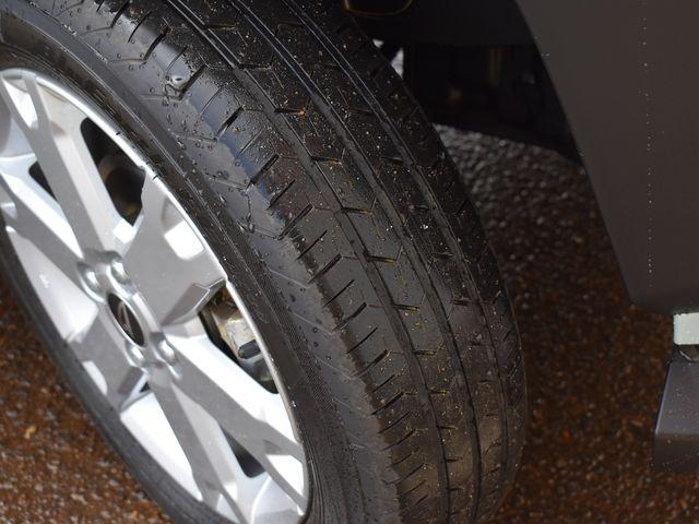 タフト（新潟県上越市）画像32