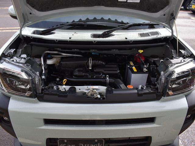 タフト（新潟県上越市）画像37