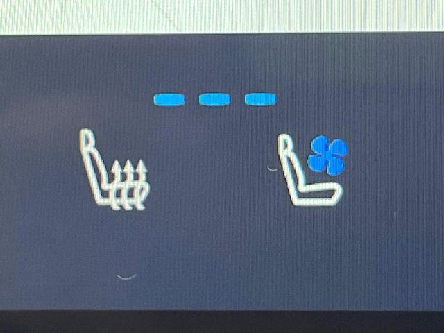 レクサスNX(新潟県新潟市南区)