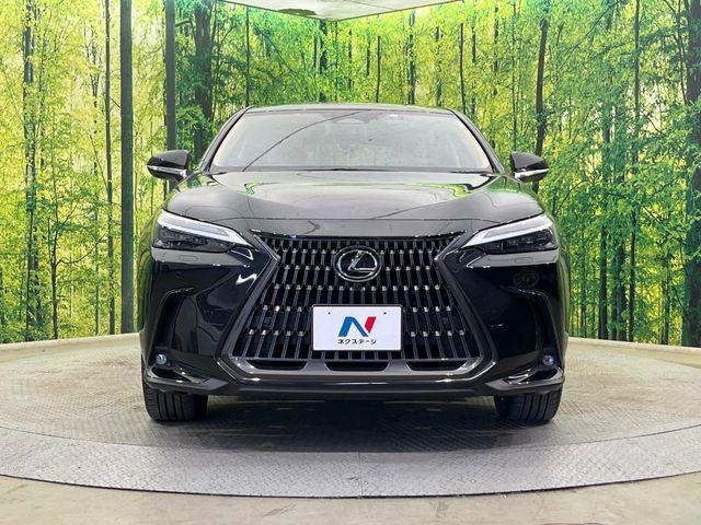 レクサスNX(新潟県新潟市南区)