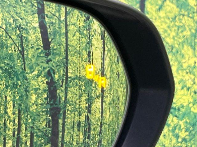 レクサスNX(新潟県新潟市南区)