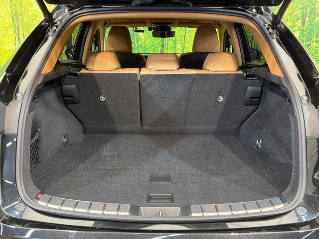 レクサスNX(新潟県新潟市南区)