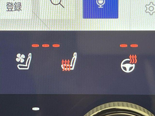 レクサスNX(新潟県新潟市南区)