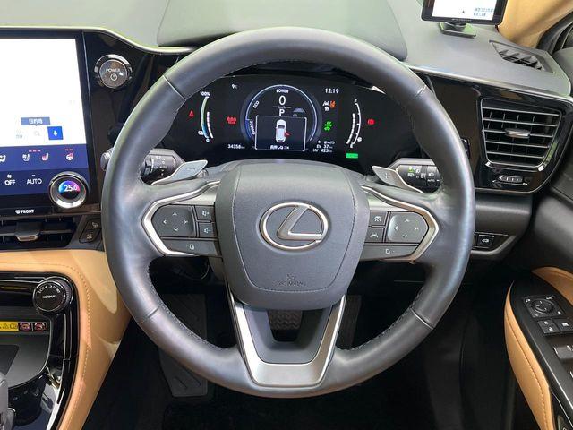 レクサスNX(新潟県新潟市南区)