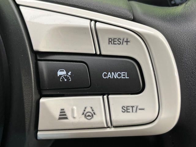 フィット(新潟県新潟市南区)