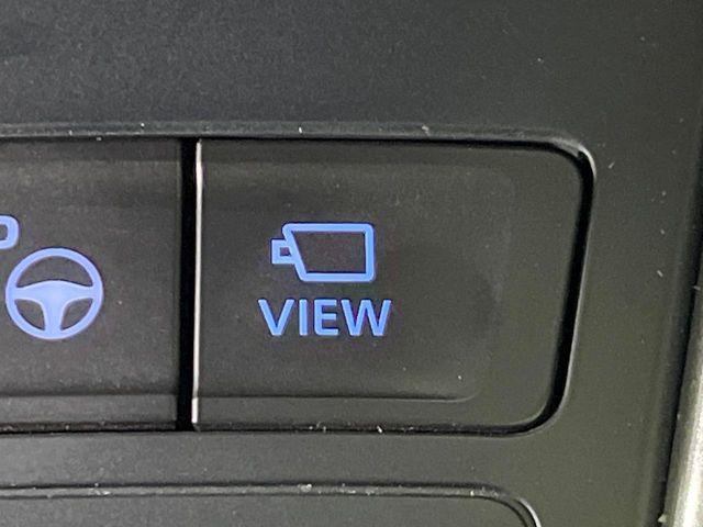 ヴォクシー（新潟県長岡市）